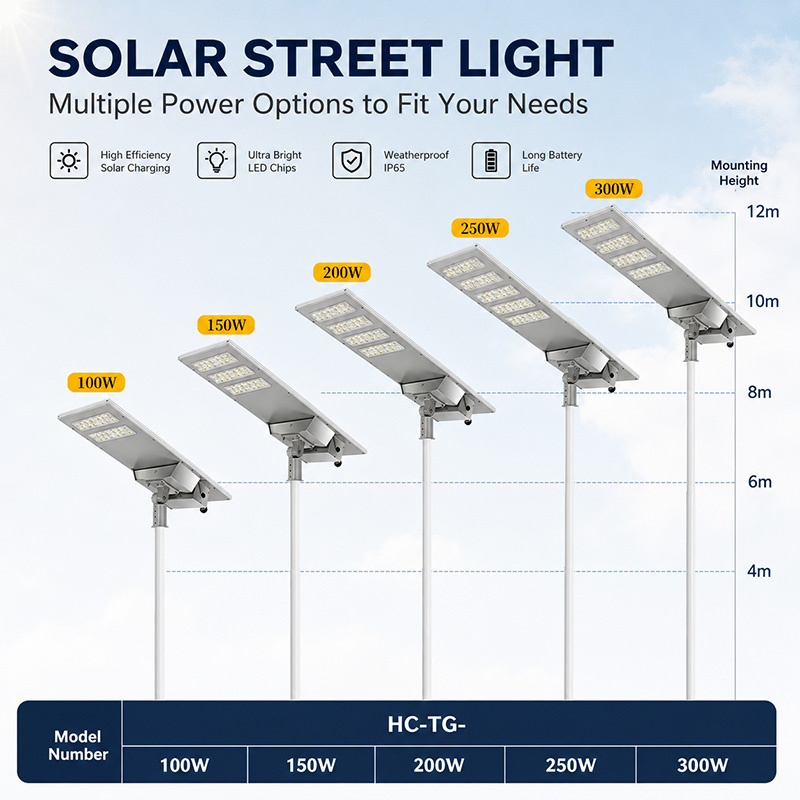AI lOT SOLAR STREET LIGHT 100W AI loT MPPT control 100-300W